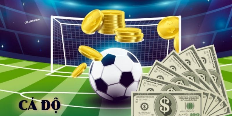 Luật cá độ tại nhà cái được xây dựng dựa trên các nguyên tắc cơ bản