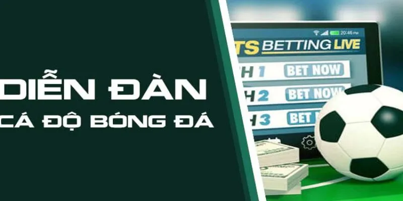 Các loại hình cá độ phổ biến trên diễn đàn cá độ bóng đá